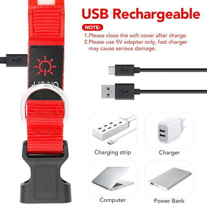 Illuminate Your Dog's Safety with the Adjustable LED Dog Collar - USB Rechargeable & Super Bright (Medium, Red)