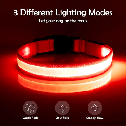 Illuminate Your Dog's Safety with the Adjustable LED Dog Collar - USB Rechargeable & Super Bright (Medium, Red)